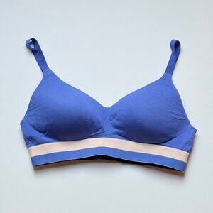 Hanes Blue Adjustable Strap Bra with Striped Band